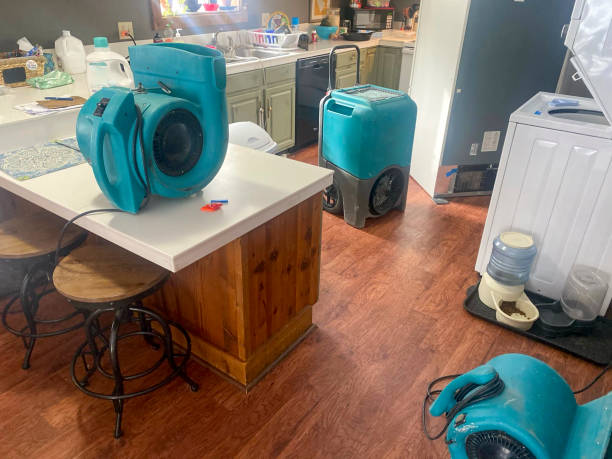Best Flood damage cleanup  in Maypearl, TX