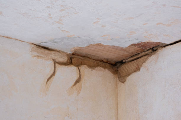 Best Commercial water damage restoration  in Maypearl, TX