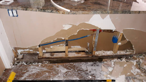 Best Flood restoration services  in Maypearl, TX