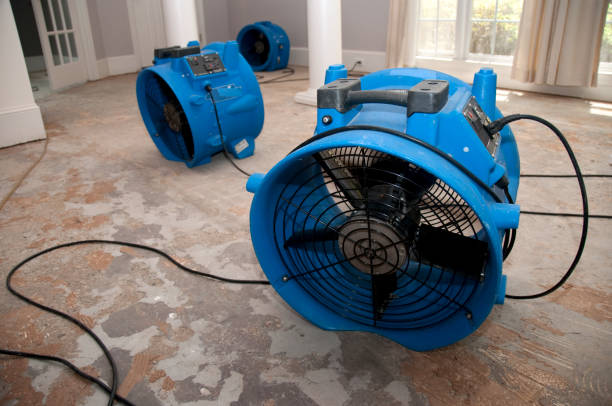 Best Water damage restoration near me  in Maypearl, TX