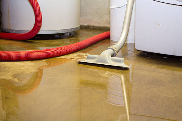 Best Ceiling water damage repair  in Maypearl, TX