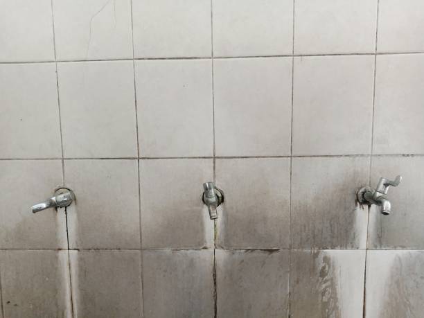  Maypearl, TX Water damage restoration Pros