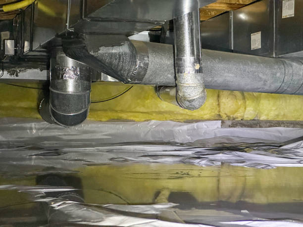  Maypearl, TX Water damage restoration Pros