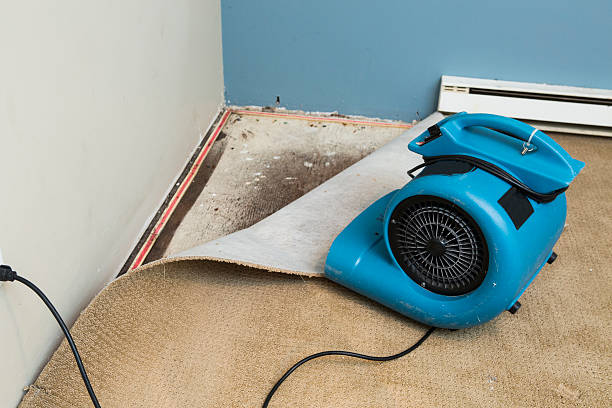 Best Flooded house restoration  in Maypearl, TX